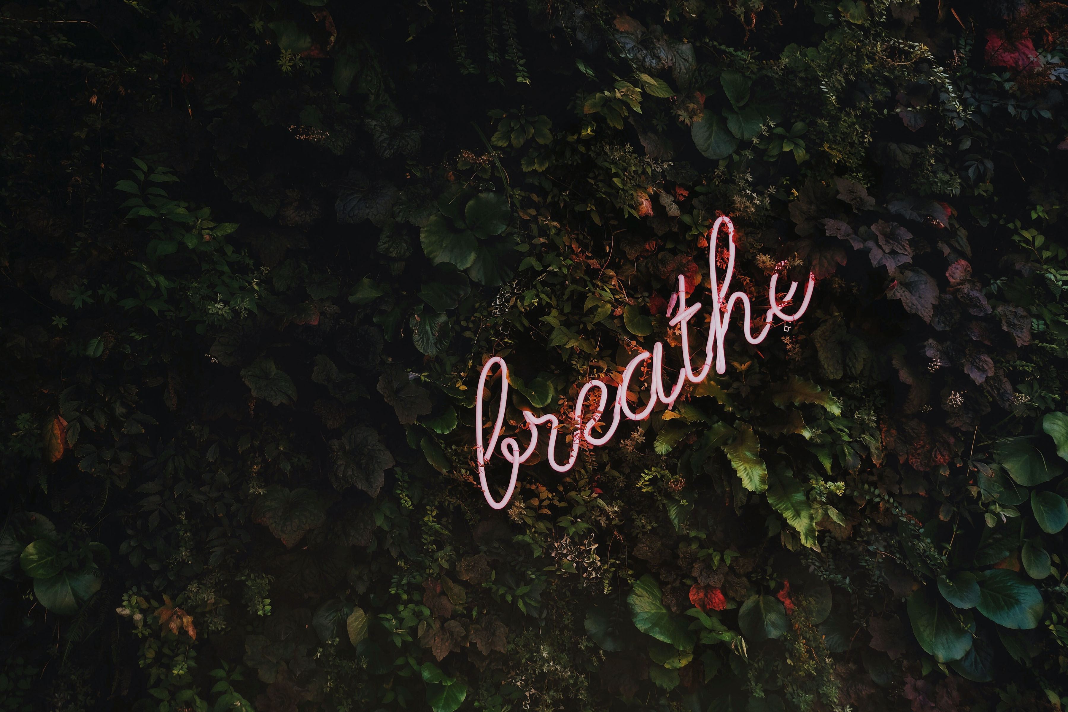 Improving air quality in your home